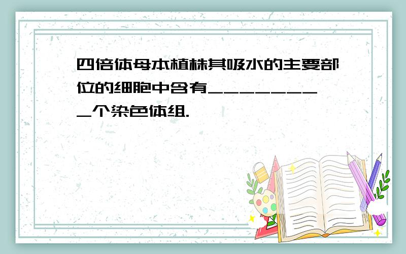 四倍体母本植株其吸水的主要部位的细胞中含有________个染色体组.