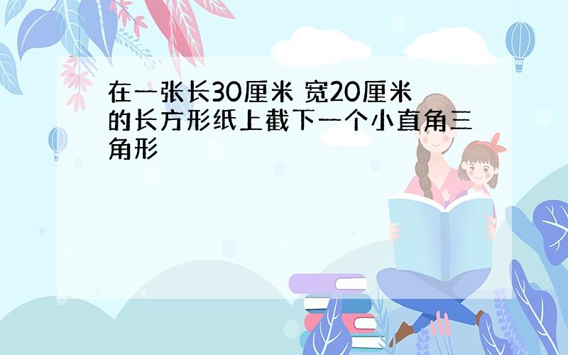 在一张长30厘米 宽20厘米的长方形纸上截下一个小直角三角形