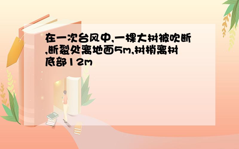 在一次台风中,一棵大树被吹断,断裂处离地面5m,树梢离树底部12m