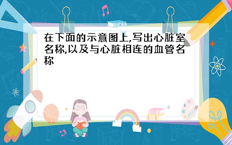 在下面的示意图上,写出心脏室名称,以及与心脏相连的血管名称