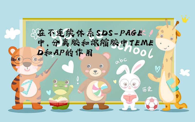 在不连续体系SDS-PAGE中,分离胶和浓缩胶中TEMED和AP的作用