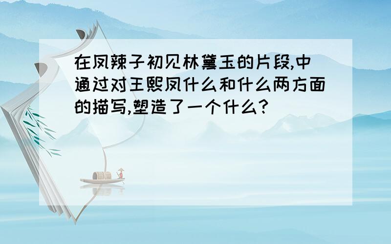 在凤辣子初见林黛玉的片段,中通过对王熙凤什么和什么两方面的描写,塑造了一个什么?