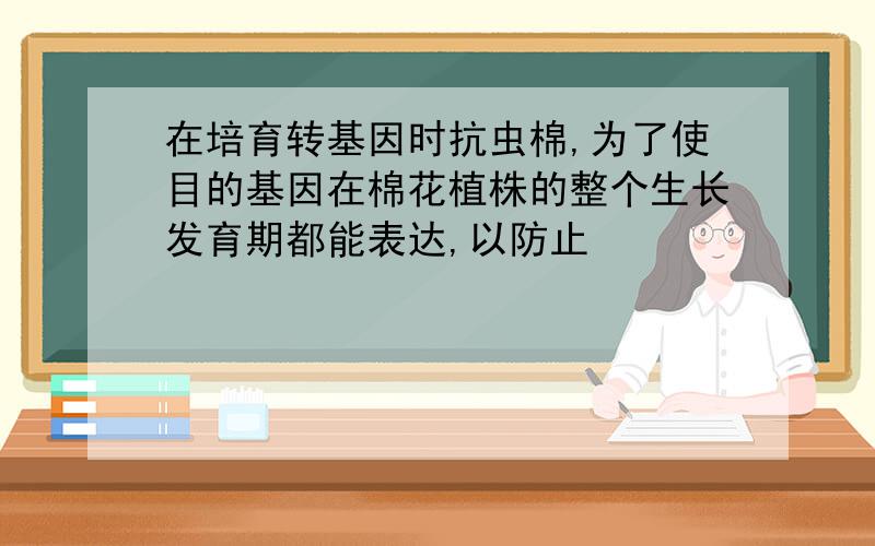 在培育转基因时抗虫棉,为了使目的基因在棉花植株的整个生长发育期都能表达,以防止