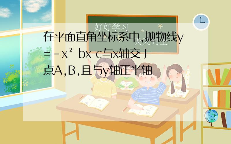 在平面直角坐标系中,抛物线y=-x² bx c与x轴交于点A,B,且与y轴正半轴