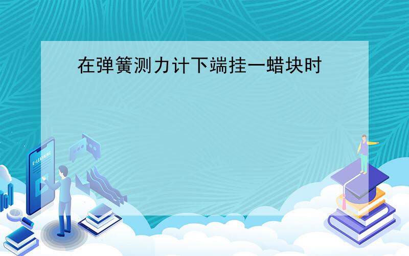 在弹簧测力计下端挂一蜡块时