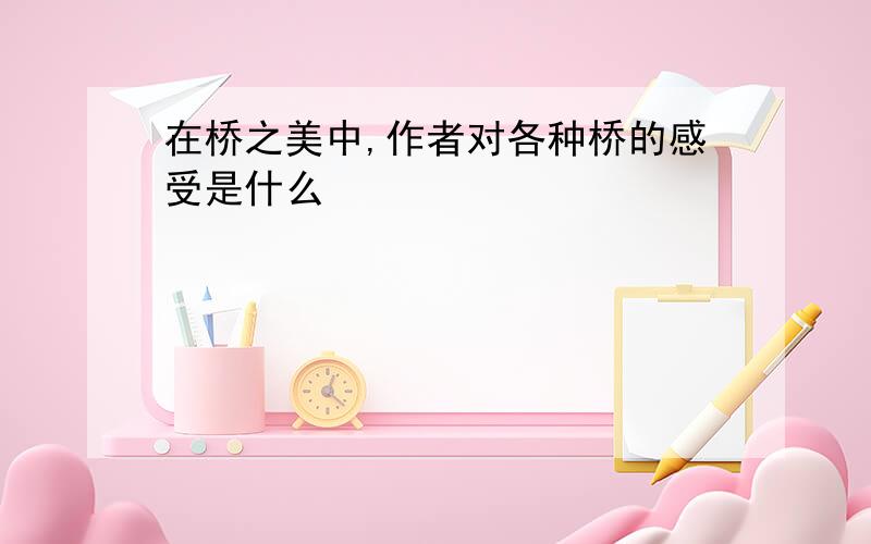 在桥之美中,作者对各种桥的感受是什么