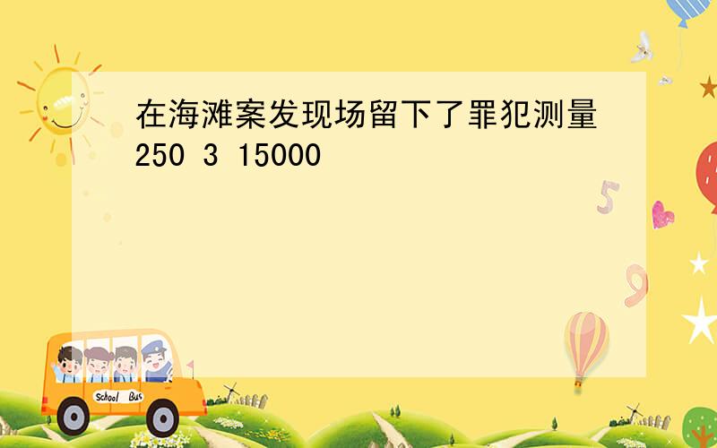 在海滩案发现场留下了罪犯测量250 3 15000