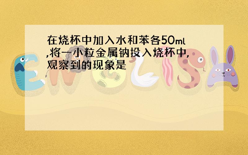 在烧杯中加入水和苯各50ml,将一小粒金属钠投入烧杯中,观察到的现象是