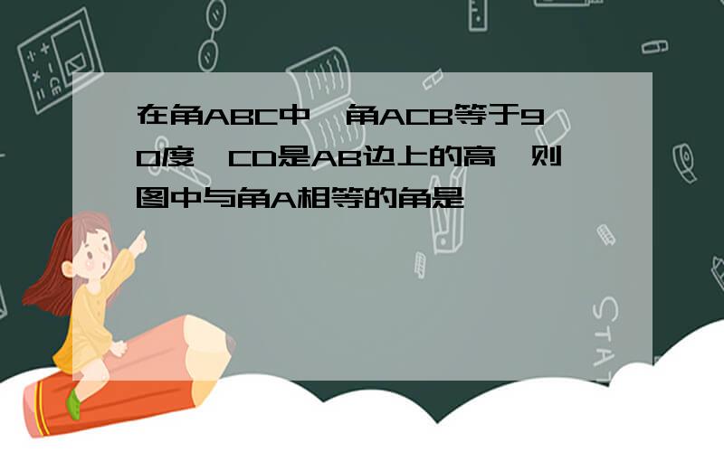 在角ABC中,角ACB等于90度,CD是AB边上的高,则图中与角A相等的角是