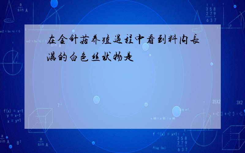 在金针菇养殖过程中看到料内长满的白色丝状物是