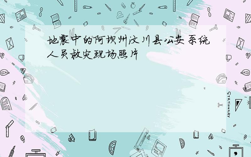 地震中的阿坝州汶川县公安系统人员救灾现场照片