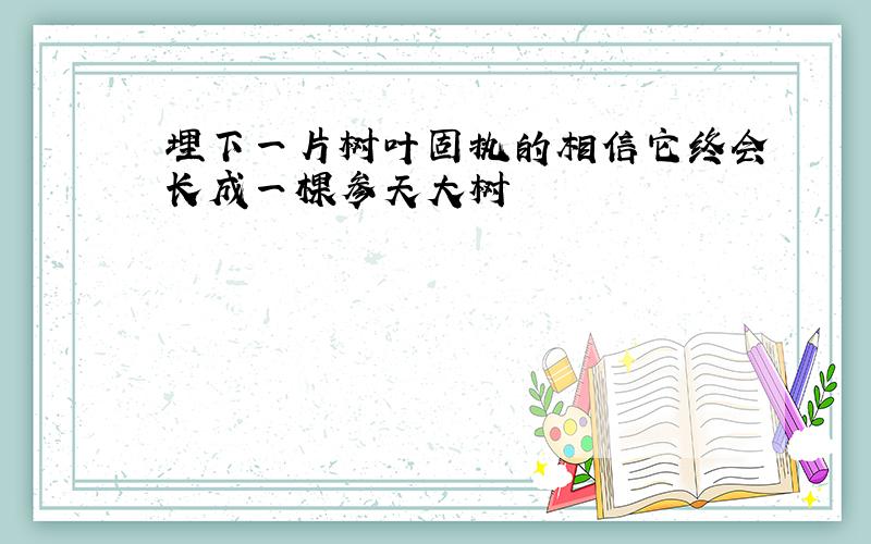 埋下一片树叶固执的相信它终会长成一棵参天大树