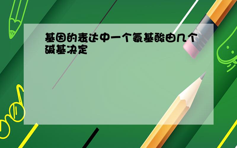 基因的表达中一个氨基酸由几个碱基决定