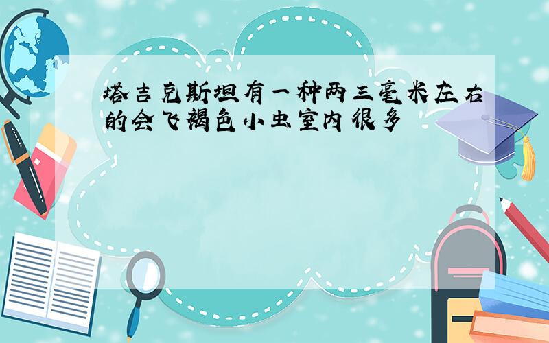 塔吉克斯坦有一种两三毫米左右的会飞褐色小虫室内很多