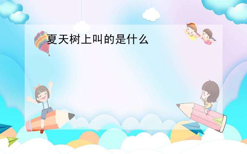 夏天树上叫的是什么