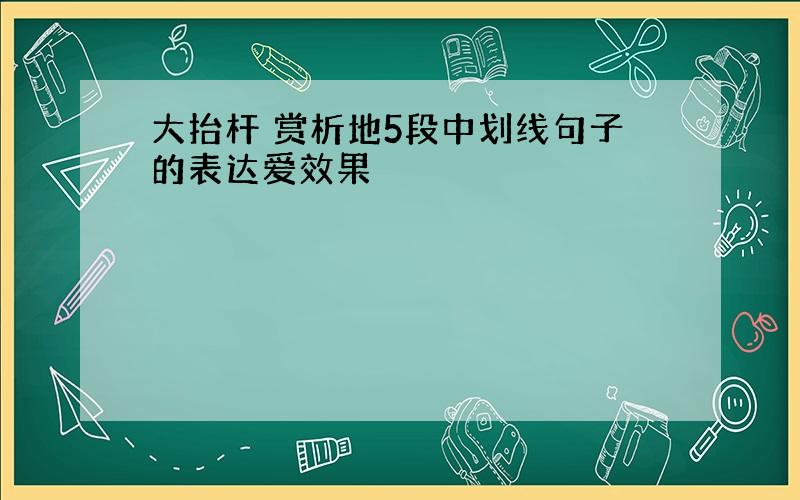 大抬杆 赏析地5段中划线句子的表达爱效果