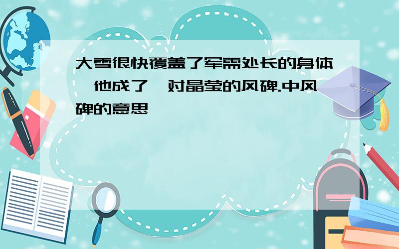 大雪很快覆盖了军需处长的身体,他成了一对晶莹的风碑.中风碑的意思