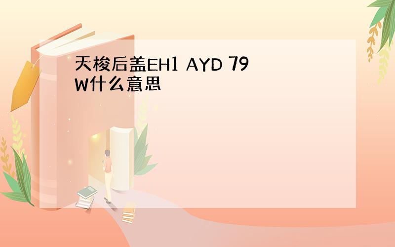 天梭后盖EH1 AYD 79W什么意思