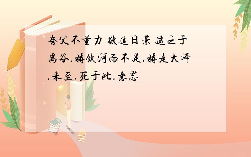 夸父不量力 欲追日景 逮之于禺谷.将饮河而不足,将走大泽.未至,死于此.意思