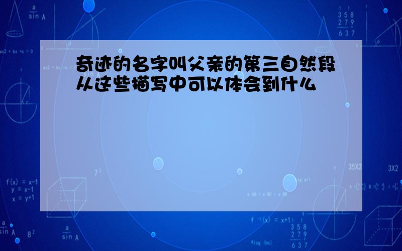 奇迹的名字叫父亲的第三自然段从这些描写中可以体会到什么