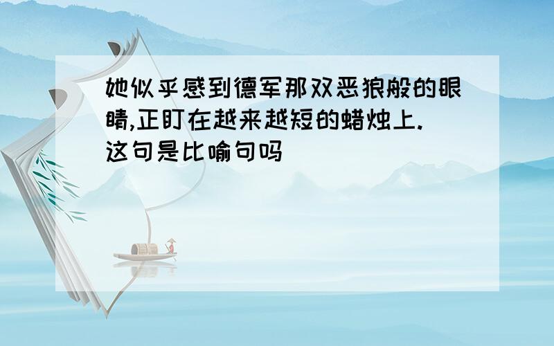 她似乎感到德军那双恶狼般的眼睛,正盯在越来越短的蜡烛上.这句是比喻句吗