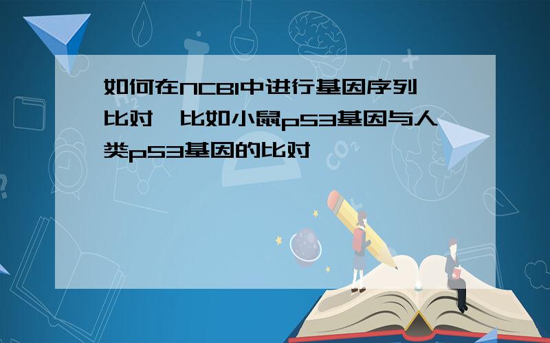 如何在NCBI中进行基因序列比对,比如小鼠p53基因与人类p53基因的比对