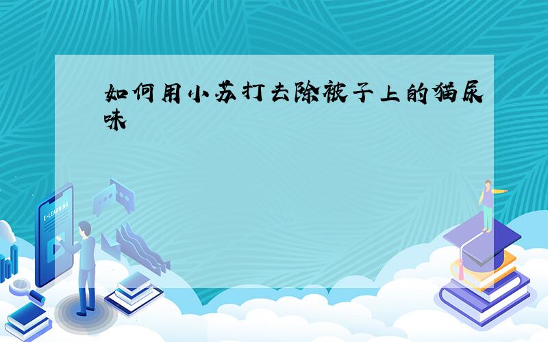 如何用小苏打去除被子上的猫尿味