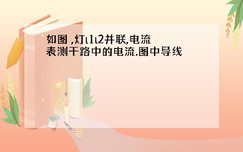 如图 ,灯l1l2并联,电流表测干路中的电流.图中导线