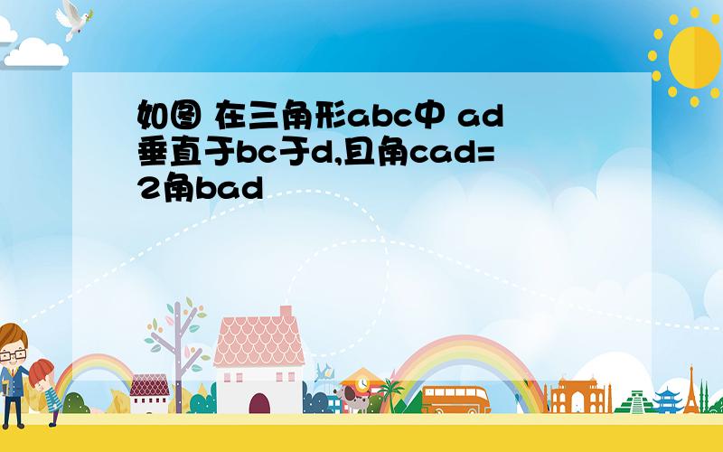 如图 在三角形abc中 ad垂直于bc于d,且角cad=2角bad