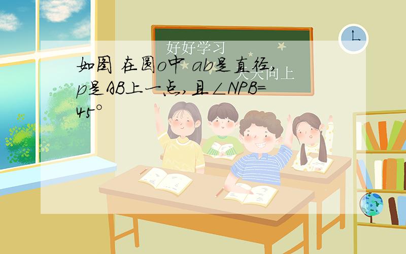 如图 在圆o中 ab是直径,p是AB上一点,且∠NPB=45°