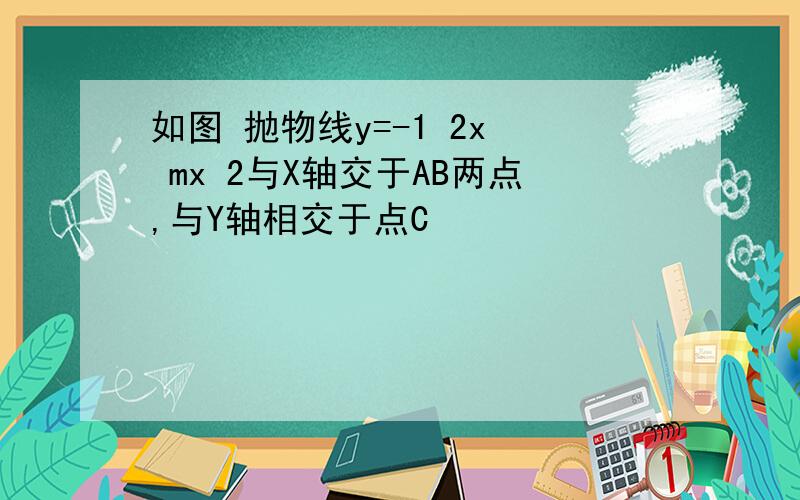 如图 抛物线y=-1 2x² mx 2与X轴交于AB两点,与Y轴相交于点C