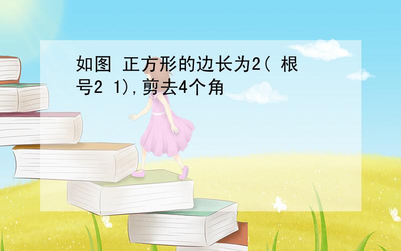 如图 正方形的边长为2( 根号2 1),剪去4个角