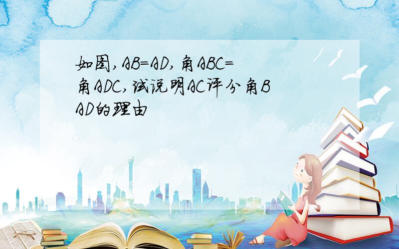 如图,AB=AD,角ABC=角ADC,试说明AC评分角BAD的理由