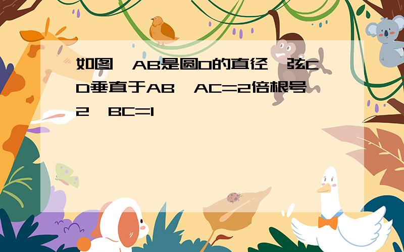 如图,AB是圆O的直径,弦CD垂直于AB,AC=2倍根号2,BC=1