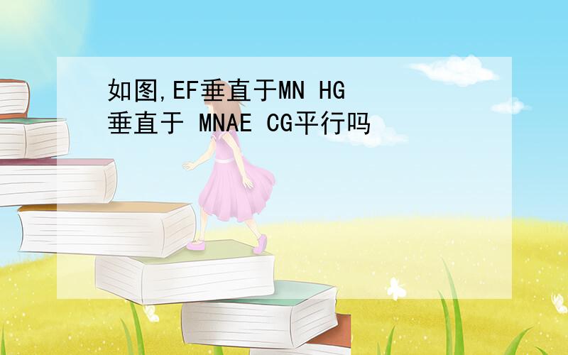 如图,EF垂直于MN HG 垂直于 MNAE CG平行吗