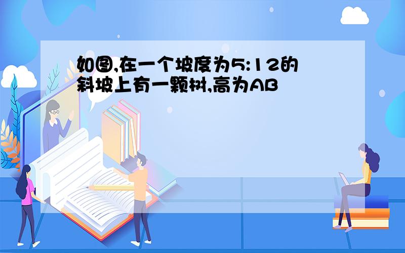 如图,在一个坡度为5:12的斜坡上有一颗树,高为AB