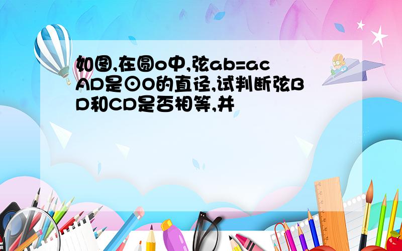 如图,在圆o中,弦ab=acAD是⊙O的直径,试判断弦BD和CD是否相等,并