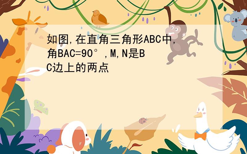 如图,在直角三角形ABC中,角BAC=90°,M,N是BC边上的两点