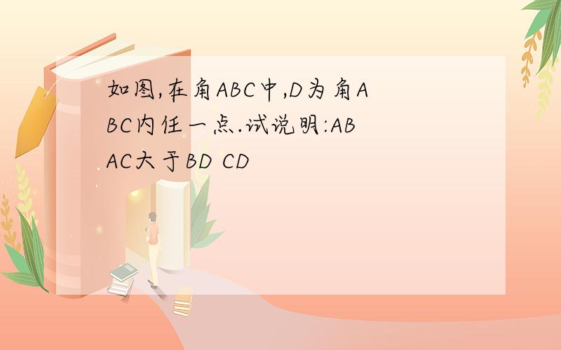 如图,在角ABC中,D为角ABC内任一点.试说明:AB AC大于BD CD