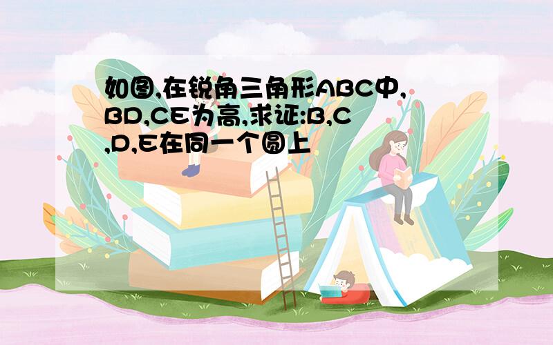 如图,在锐角三角形ABC中,BD,CE为高,求证:B,C,D,E在同一个圆上