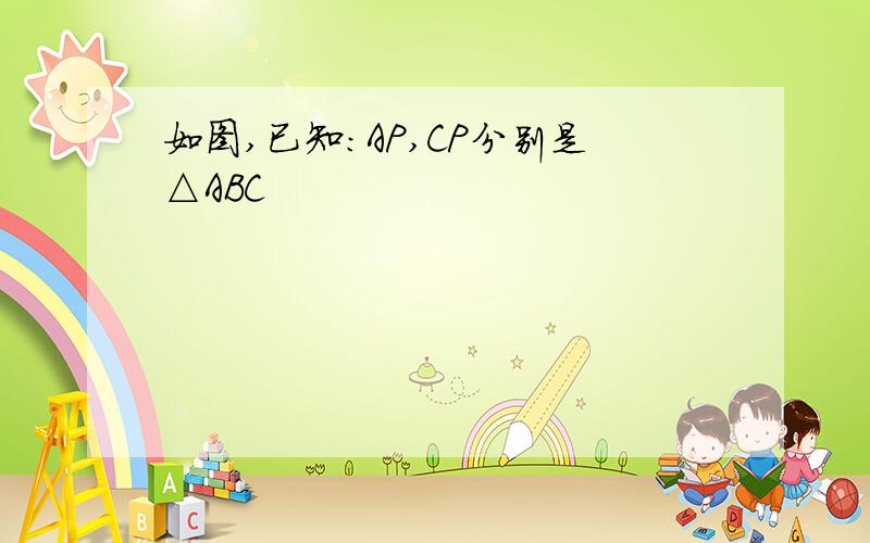 如图,已知:AP,CP分别是△ABC