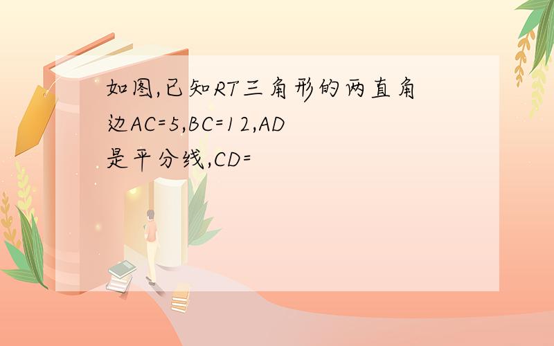 如图,已知RT三角形的两直角边AC=5,BC=12,AD是平分线,CD=