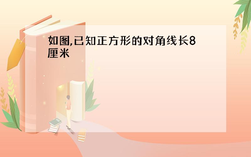 如图,已知正方形的对角线长8厘米