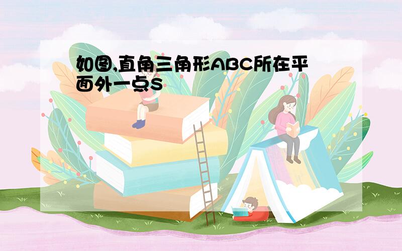 如图,直角三角形ABC所在平面外一点S