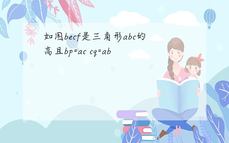 如图becf是三角形abc的高且bp=ac cq=ab