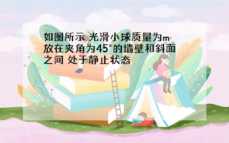 如图所示 光滑小球质量为m 放在夹角为45°的墙壁和斜面之间 处于静止状态