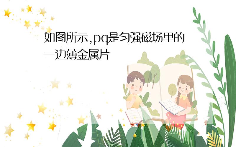 如图所示,pq是匀强磁场里的一边薄金属片