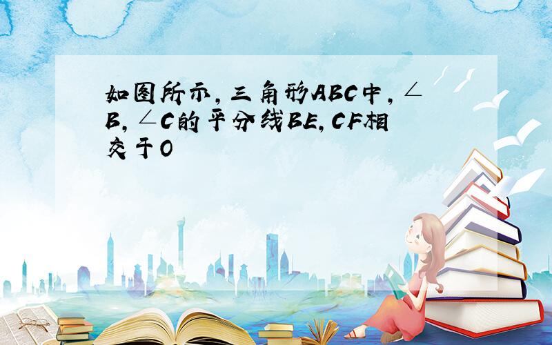 如图所示,三角形ABC中,∠B,∠C的平分线BE,CF相交于O