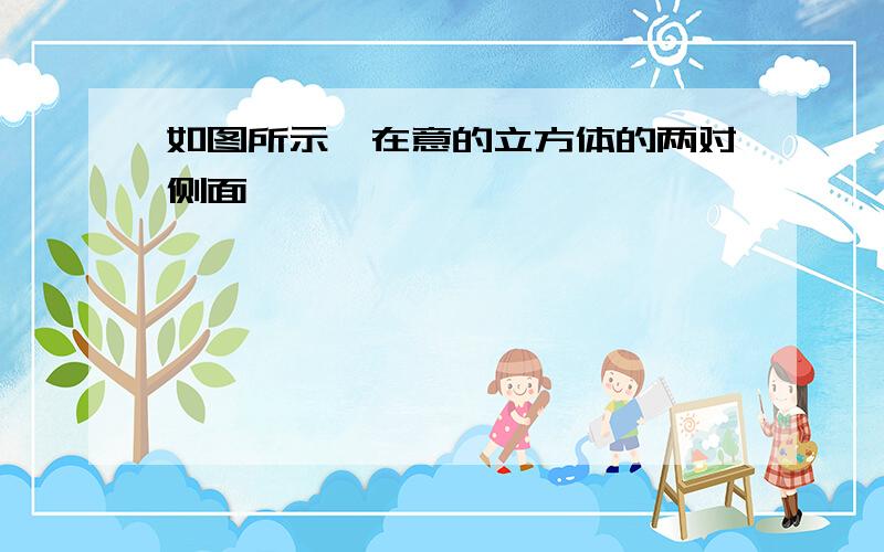 如图所示,在意的立方体的两对侧面