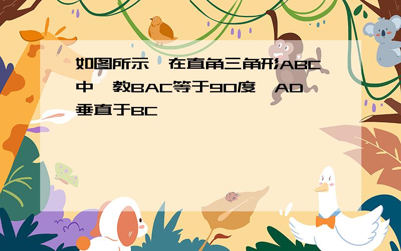 如图所示,在直角三角形ABC中,教BAC等于90度,AD垂直于BC